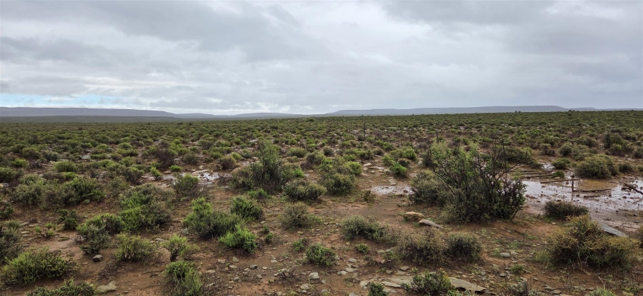 4 Bedroom Property for Sale in Fraserburg Rural Northern Cape